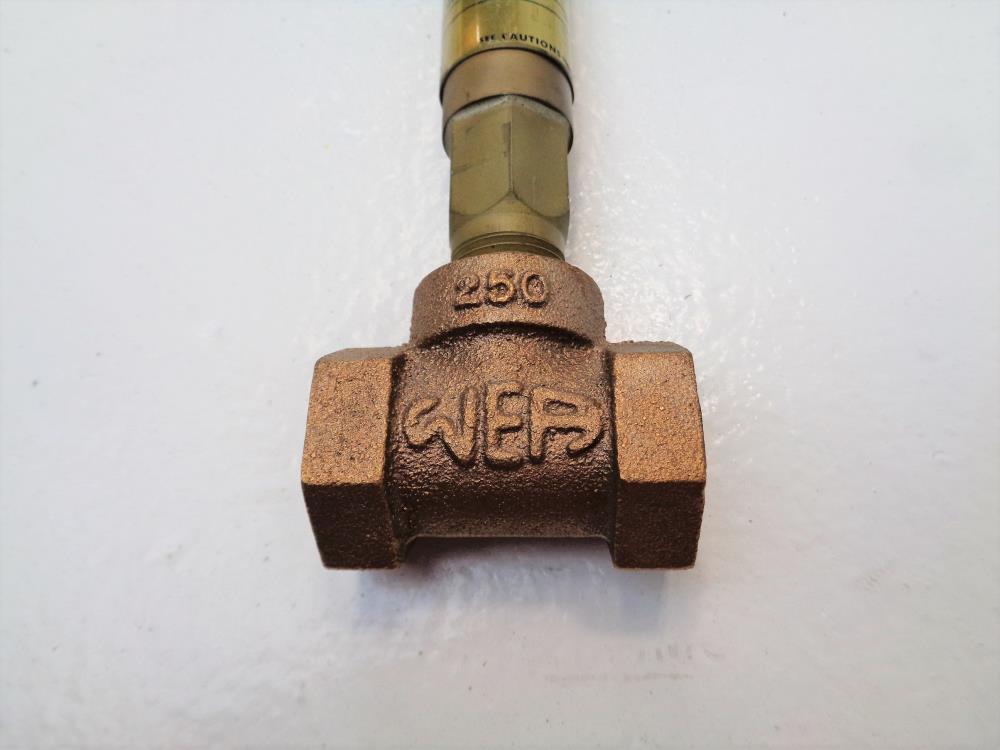 W.E. Anderson Flotect Flow Switch, 1/2" NPT Bronze, V6EPBBS1B